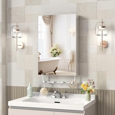 ANYHI 24x16 Silver Bathroom Cabinet with Mirror, Single Door Wall Mounted Bathroom Mirror Medicine Cabinet with 2 Adjustable Storage Shelves & 5 Removable Hooks