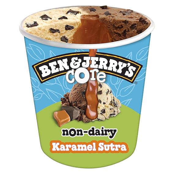 Ben & Jerry's Non-Dairy Karamel Sutra Core Frozen Dessert Certified Vegan Pint 16 oz