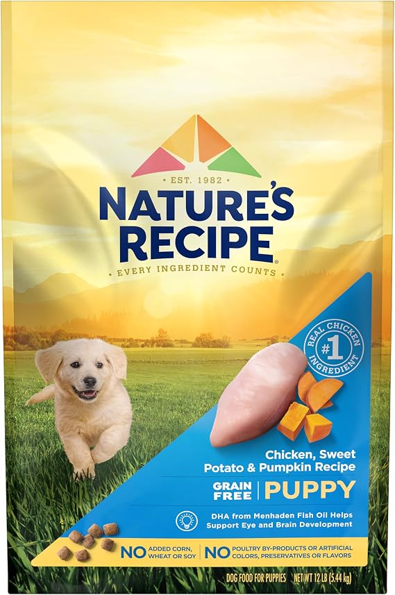 Nature's Recipe Grain Free Puppy Dry Dog Food, Chicken, Sweet Potato & Pumpkin Recipe, 12 lb. Bag | Chicken, Sweet Potato & Pumpkin Recipe with DHA from Menhaden Fish Oil To Support Eye & Brain Development