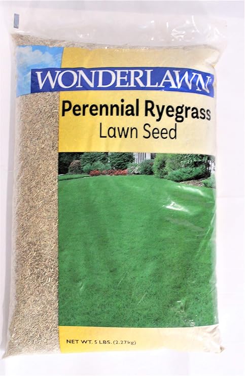 Perennial Ryegrass Grass Seed