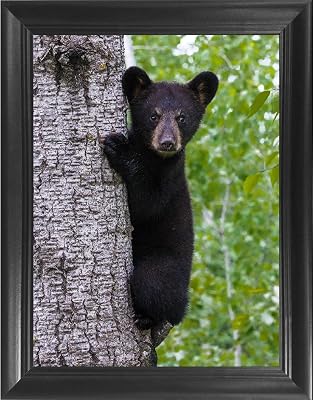 Black Bear & Tree 3D Poster Wall Art Decor Framed Print | 14.5x18.5 | Lenticular Posters & Pictures | Memorabilia Gifts for Guys & Girls Bedroom | Forest Wildlife & Hunting Animal Picture for Home
