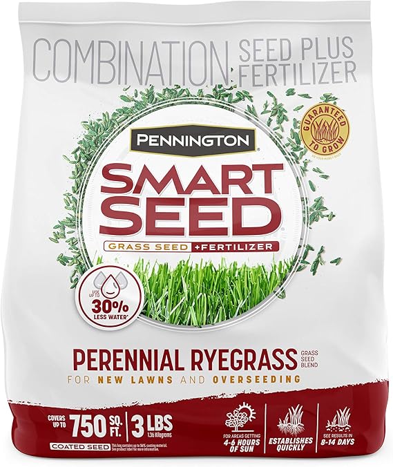 Pennington Smart Seed Perennial Rye 3 Lb, Perennial Ryegrass Seed