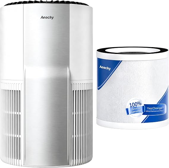 Air Purifier with Extra Filter(One Pre-Instelled Filter and One Extra Filters)
