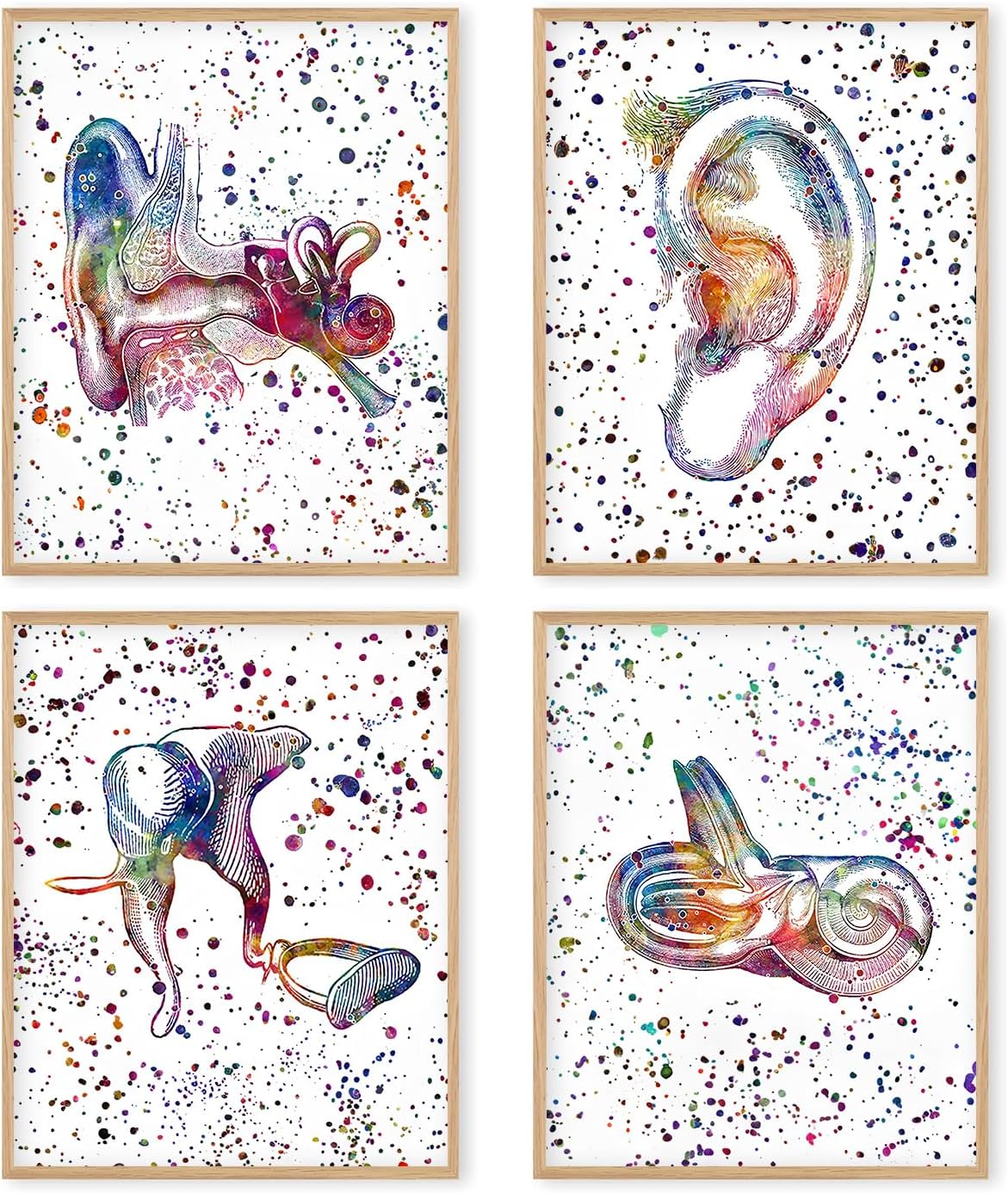 Boat Wades Ear Poster Wall Art,Audiologist Gifts,Ear Anatomy Posters,Audiology Specialist Cross Section Clinic Hearing Office Decor Great Gift for Audiologist,8x10 Inch, Unframed Set of 4