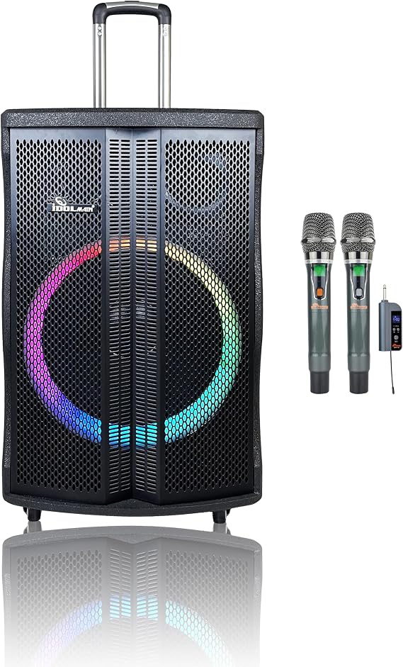 Portable Karaoke PA System w/ 2 Wireless Mics & Bluetooth