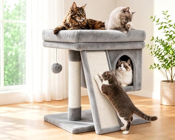 Cat Scratching Post Small for Large Cats XXL 60 cm High Cat Tree with Extra Large Platform (40 x 50 cm) & Scratching Ramp Sturdy Cat Tower for Seniors. Cat Brush & Play Ball
