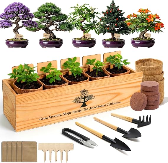 5X Bonsai Starter Kit, Bonzai Seed Kits, Durable Planting Bags, Complete Indoor Starter Kit for Growing Bonsai Plants, Gardening Gifts for Women & Men