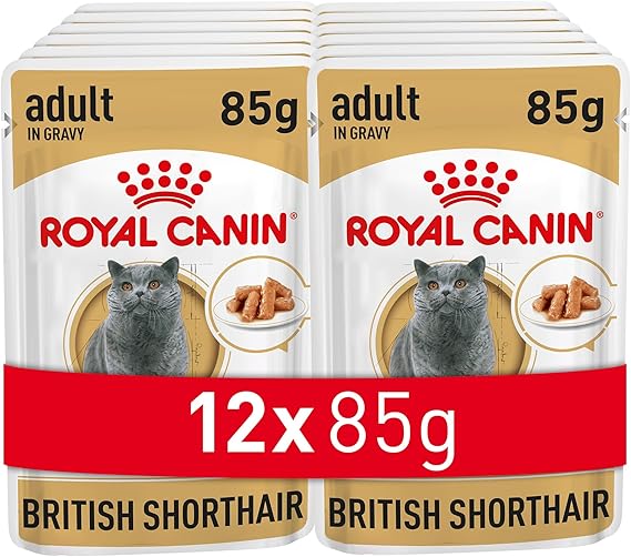 Royal Canin British Shorthair Canned 85 gr x 12 Pieces