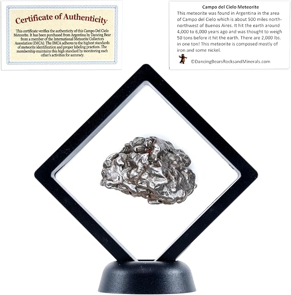 DANCING BEAR Real Meteorite Extra Large (20-32g) Genuine from Campo Del Cielo Argentina, Certificate of Authenticity, Display Case, ID Card, Space Rock, Assembled in the USA