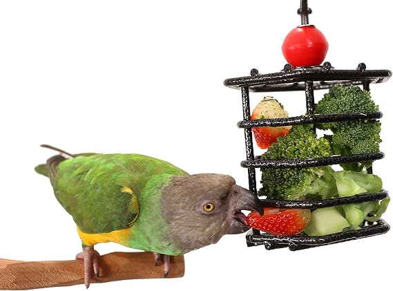 Parrot Foraging Cage Feeder (Small)