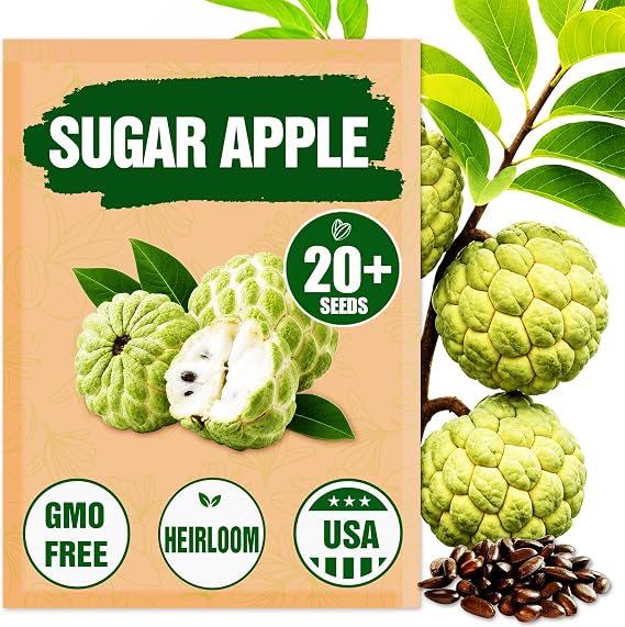 Sugar Apple Seeds for Planting (Annona squamosa) - 20 Count - Non-GMO Tropical Fruit Tree Seeds - Patio, Container & Backyard Grow