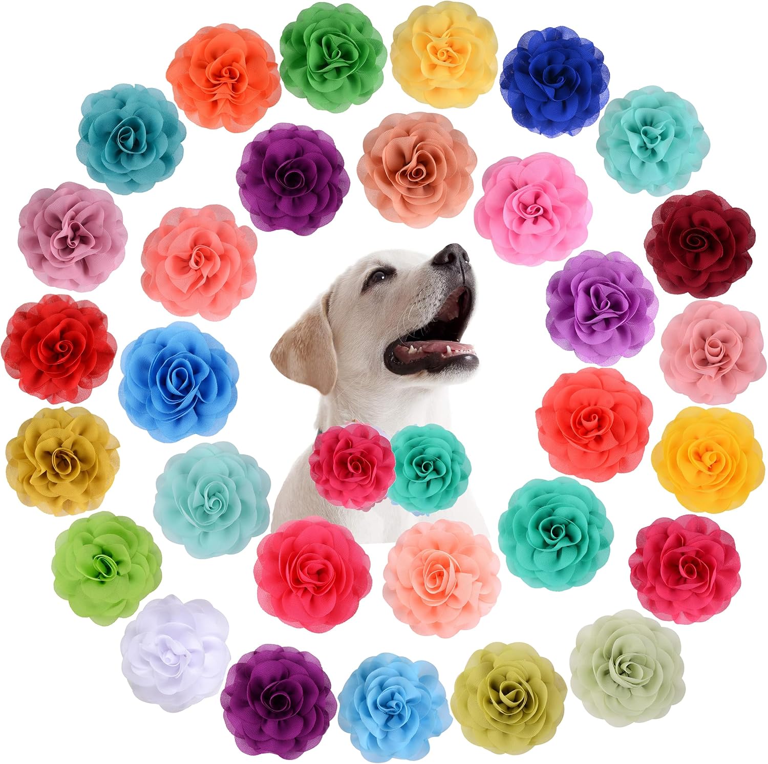 30 Pieces Dog Collar Flowers Accessories Girl Boy Dog Flower Bow Ties Cat Puppy Charms Flower Collars Bows Grooming Supplies 8 cm 3.15 Inch