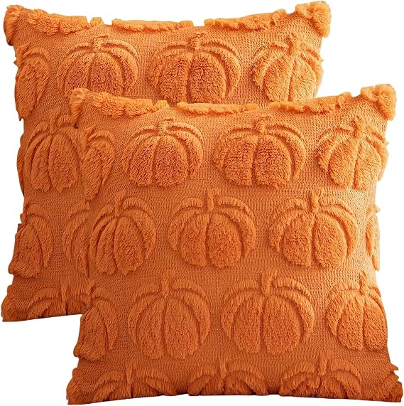 Autumn Cushion Covers, 2Pcs Fall Throw Pillow Covers, Soft Pumpkin Throw