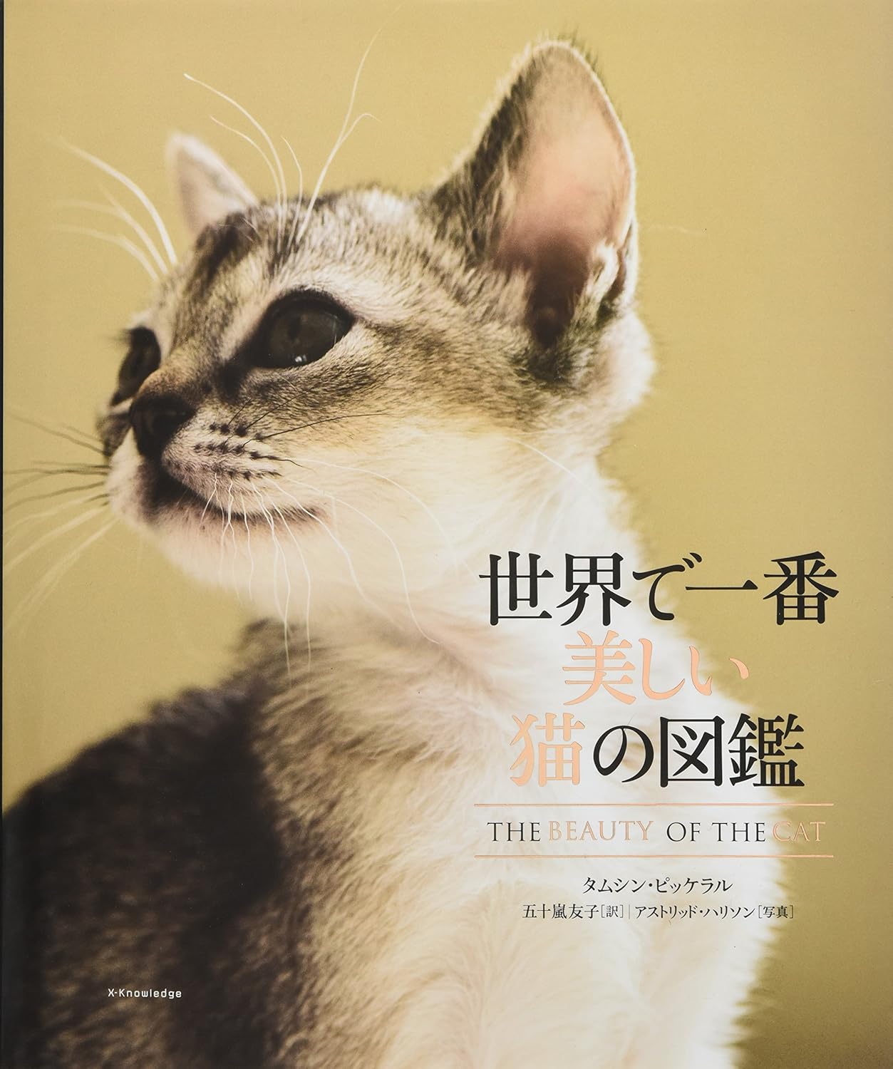 世界で一番美しい猫の図鑑 Tankobon Hardcover – July 3, 2014