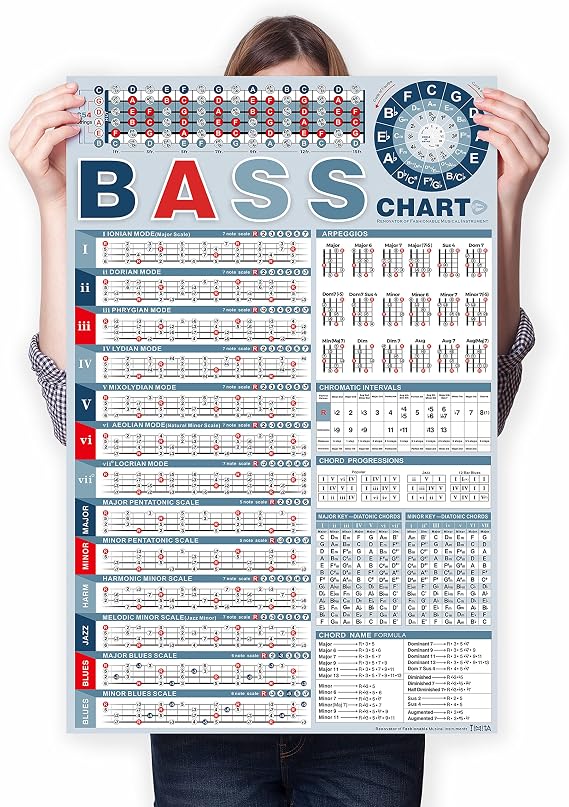 TiMitA Bass Scales Poster - Learn Basses Scales, Modes, Chords, Fingerings, Patterns and Notes for Improved Technique & Improvisation, Comprehensive Bass Scales Chart, Perfect for Beginners & Bassists