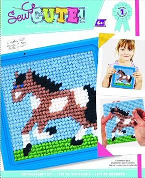 Colorbok Q2342A Horse Learn to Stitch Needlepoint Kit, 6-Inch by 6-Inch, Blue Frame