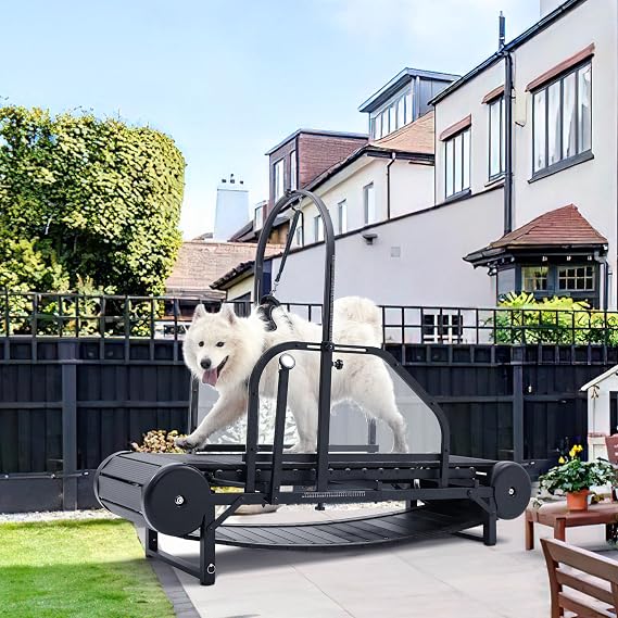 Dog Treadmill for Large/Medium Dogs, Adjustable Ramp Canine Running Slatmill Machine with Pedometer for Exercise & Healthy & Fit Pet Life