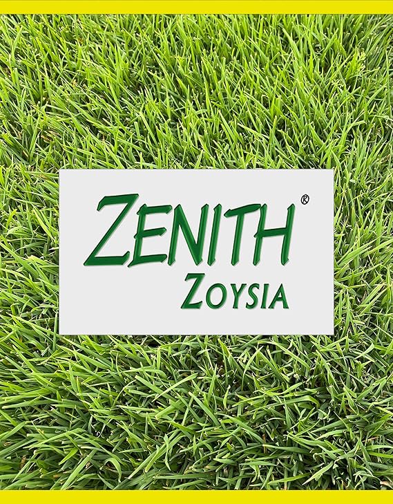 Zenith Zoysia Grass Plugs