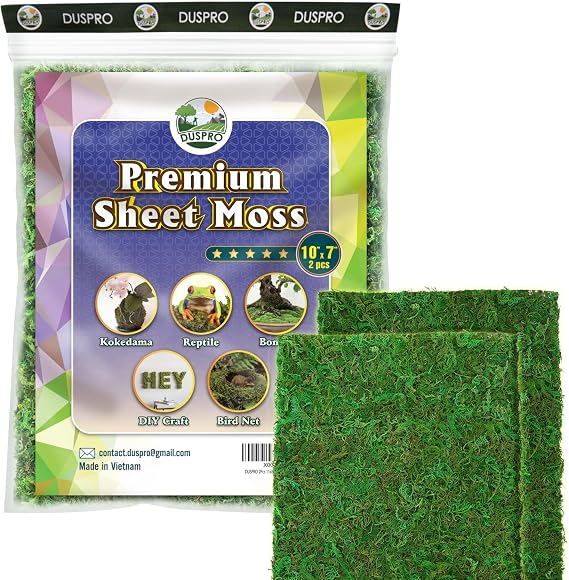 DUSPRO 2Pcs 10x7 Inches Sheet Moss for Potted Plants, Florist Moss for Plants Indoor, Green Moss for Planters, Moss Sheets for Crafts, Preserved Moss Wall Art, DIY Project
