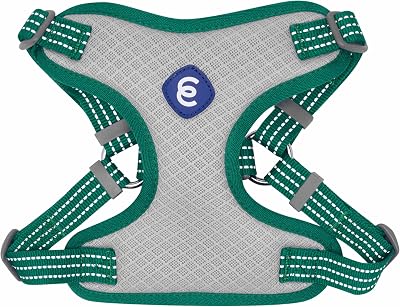 Blueberry Pet Essentials Back to Basics Reflective Dog Harness Vest, Dark Green, Medium, Adjustable Harnesses for Dogs